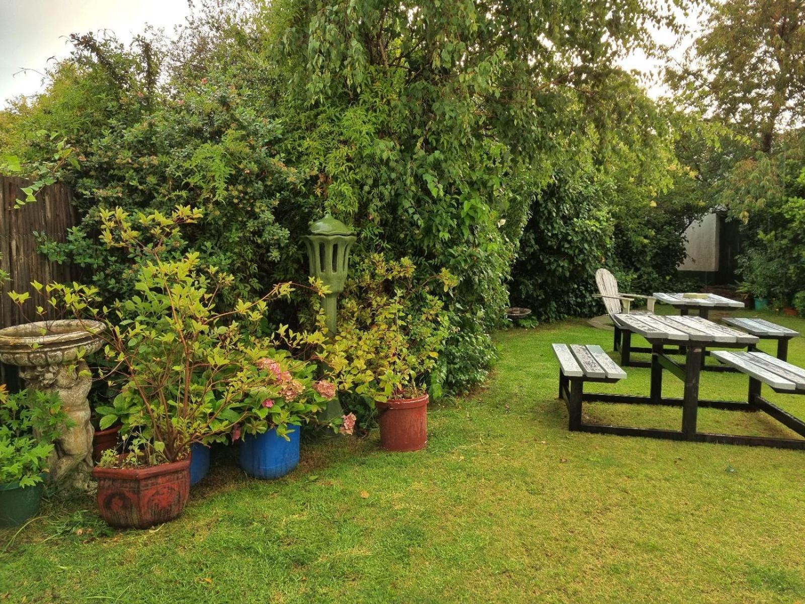 Mountain View Country Inn Lady Grey Zewnętrze zdjęcie